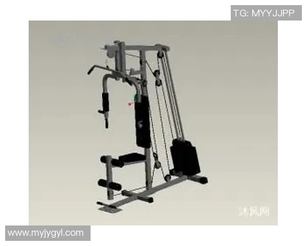 全面解析体育器材表助力运动爱好者选择合适装备提升运动表现